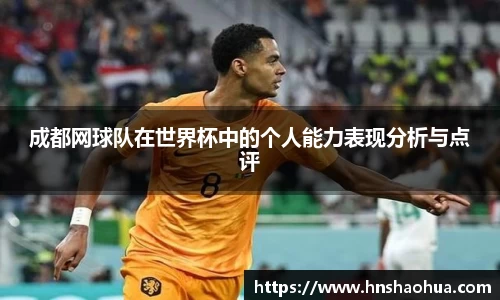 雷竞技RAYBET