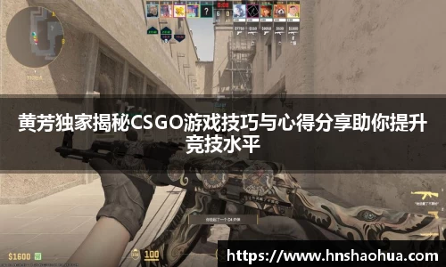 雷竞技官网